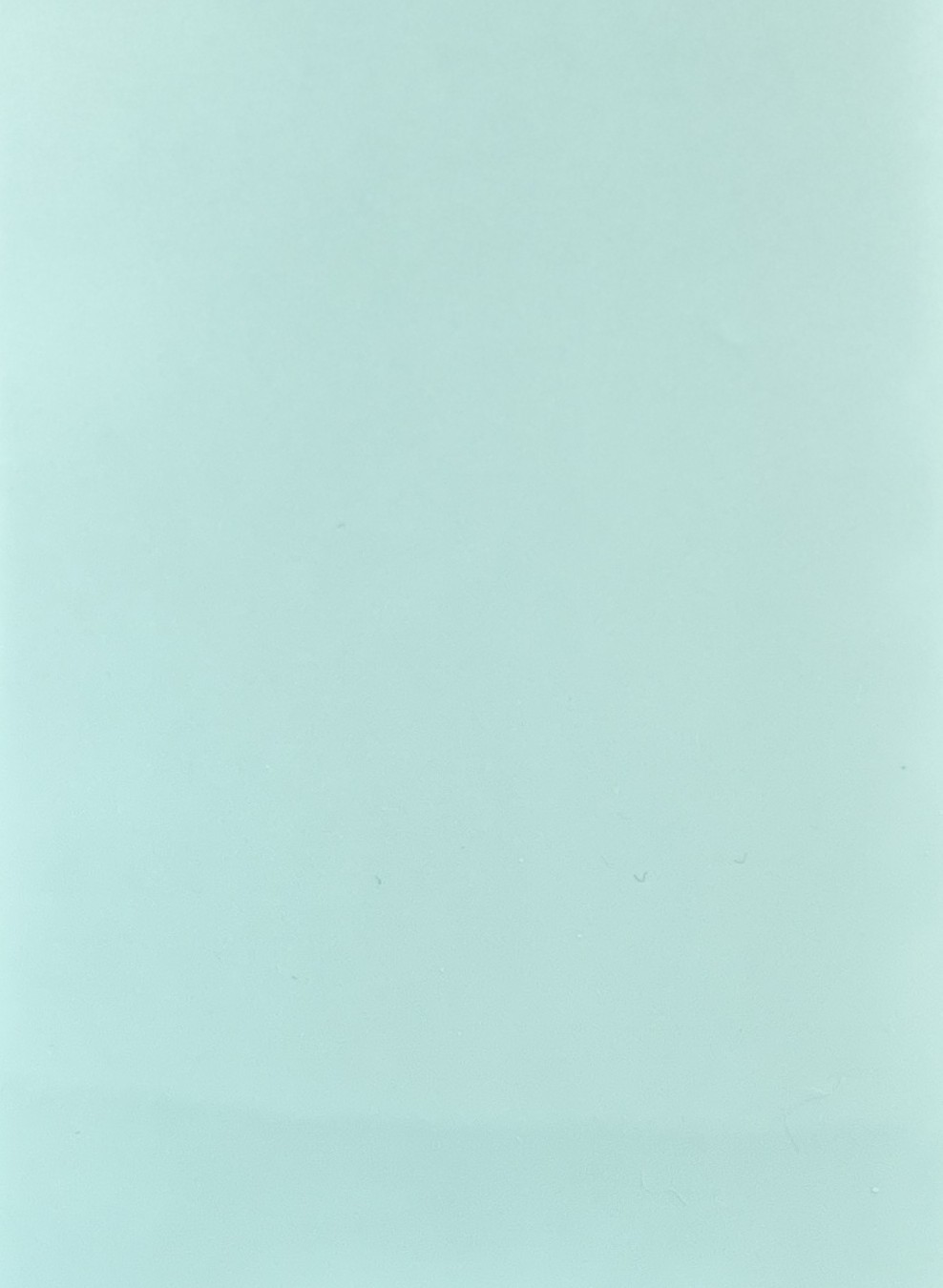 PPF - 119