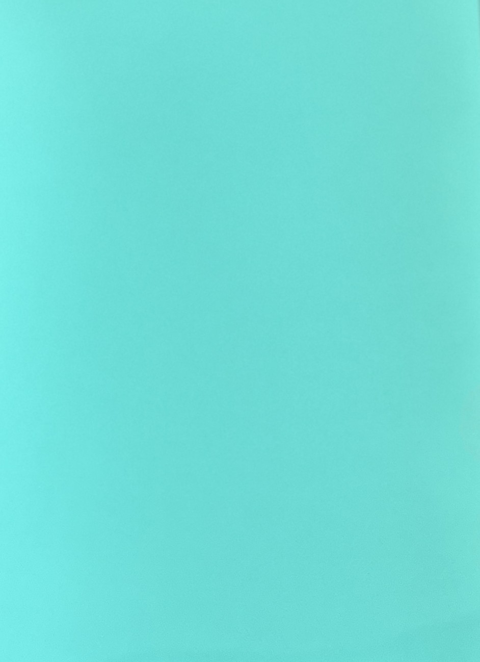 PPF - 121