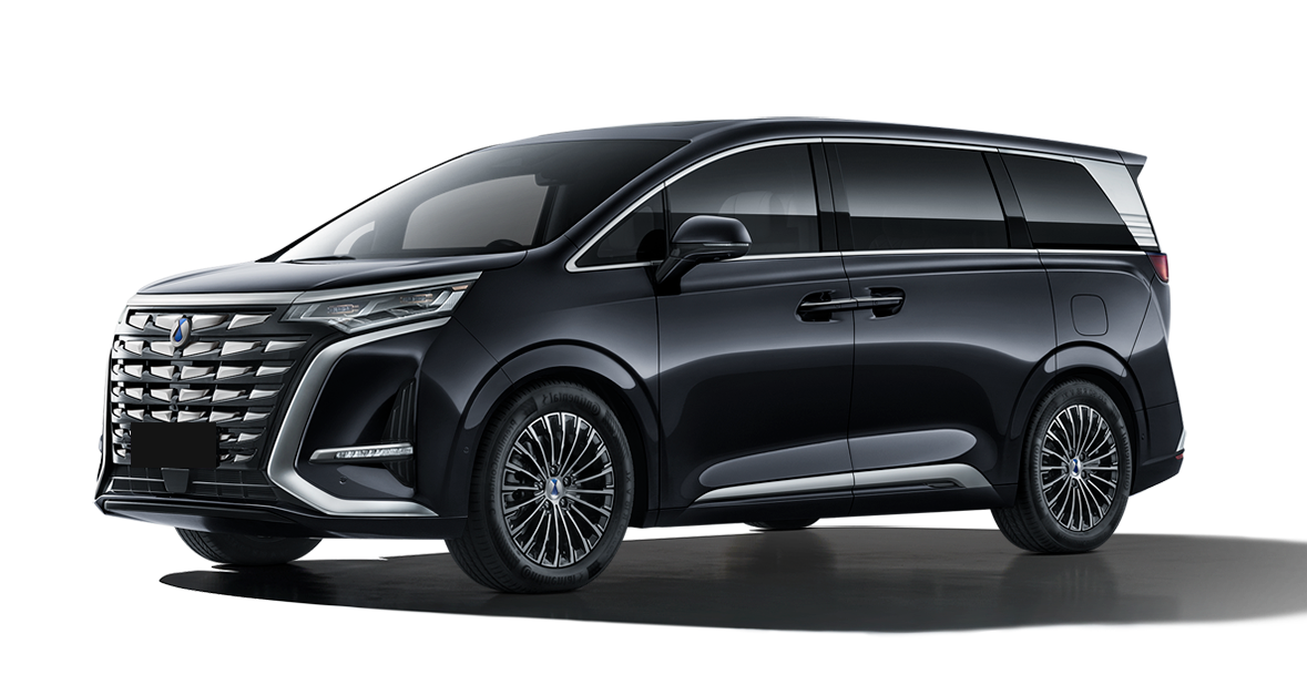 Denza D9
